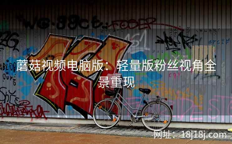 蘑菇视频电脑版：轻量版粉丝视角全景重现