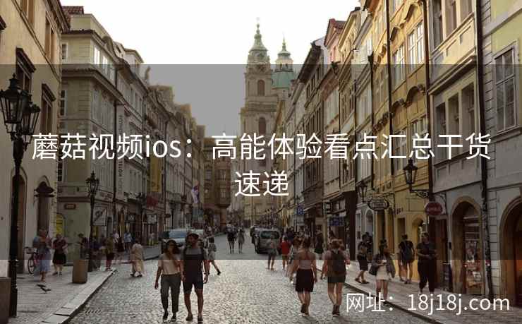 蘑菇视频ios：高能体验看点汇总干货速递
