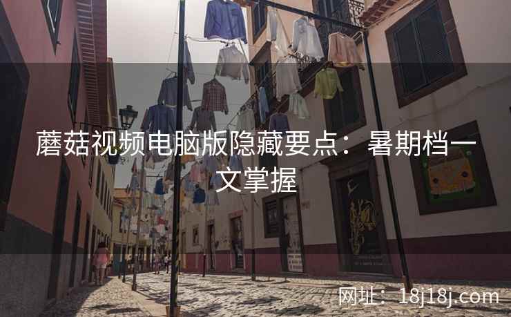 蘑菇视频电脑版隐藏要点：暑期档一文掌握