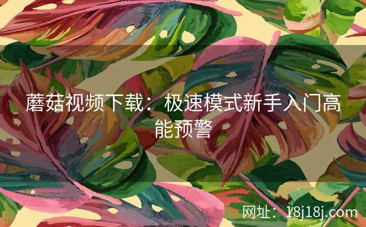 蘑菇视频下载：极速模式新手入门高能预警