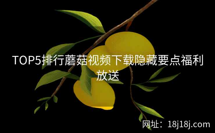 TOP5排行蘑菇视频下载隐藏要点福利放送