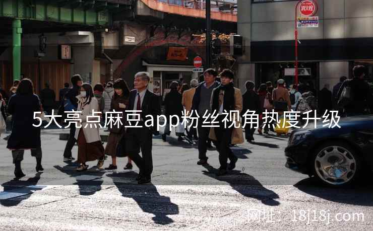5大亮点麻豆app粉丝视角热度升级  第2张